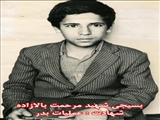 آقای رئیس جمهور! بگویید دیگر روضه حضرت قاسم (ع) نخوانند
